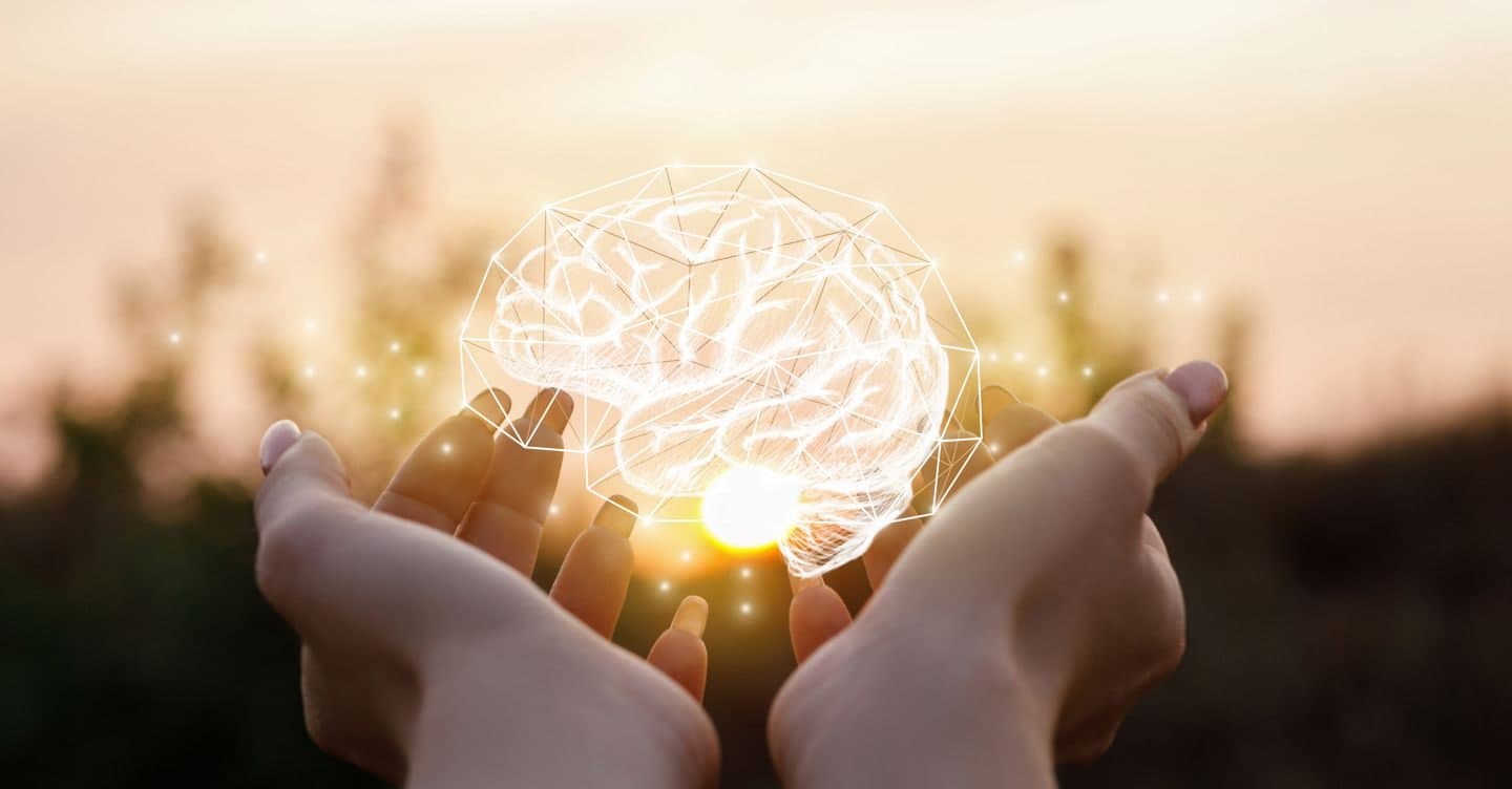 Se manca il sonno il cervello si “protegge”:  perché dopo una notte insonne non ci concentriamo