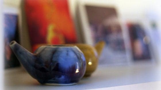 Ameba mangia-cervello dopo lavaggi nasali. L'esperto: "Casi rarissimi". Una donna muore negli Usa