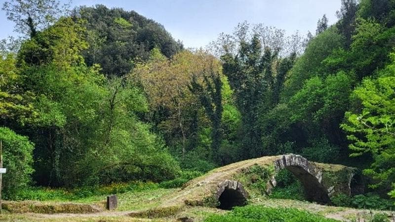 In topless sul fiume, multata per oltraggio alla decenza: “Il corpo visibile da un punto panoramico”