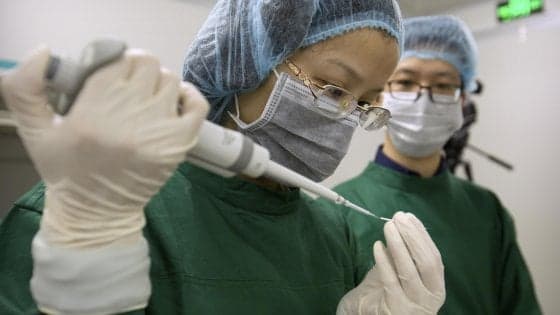 L'Oms in campo sull'editing del Dna, 'al via commissione esperti'