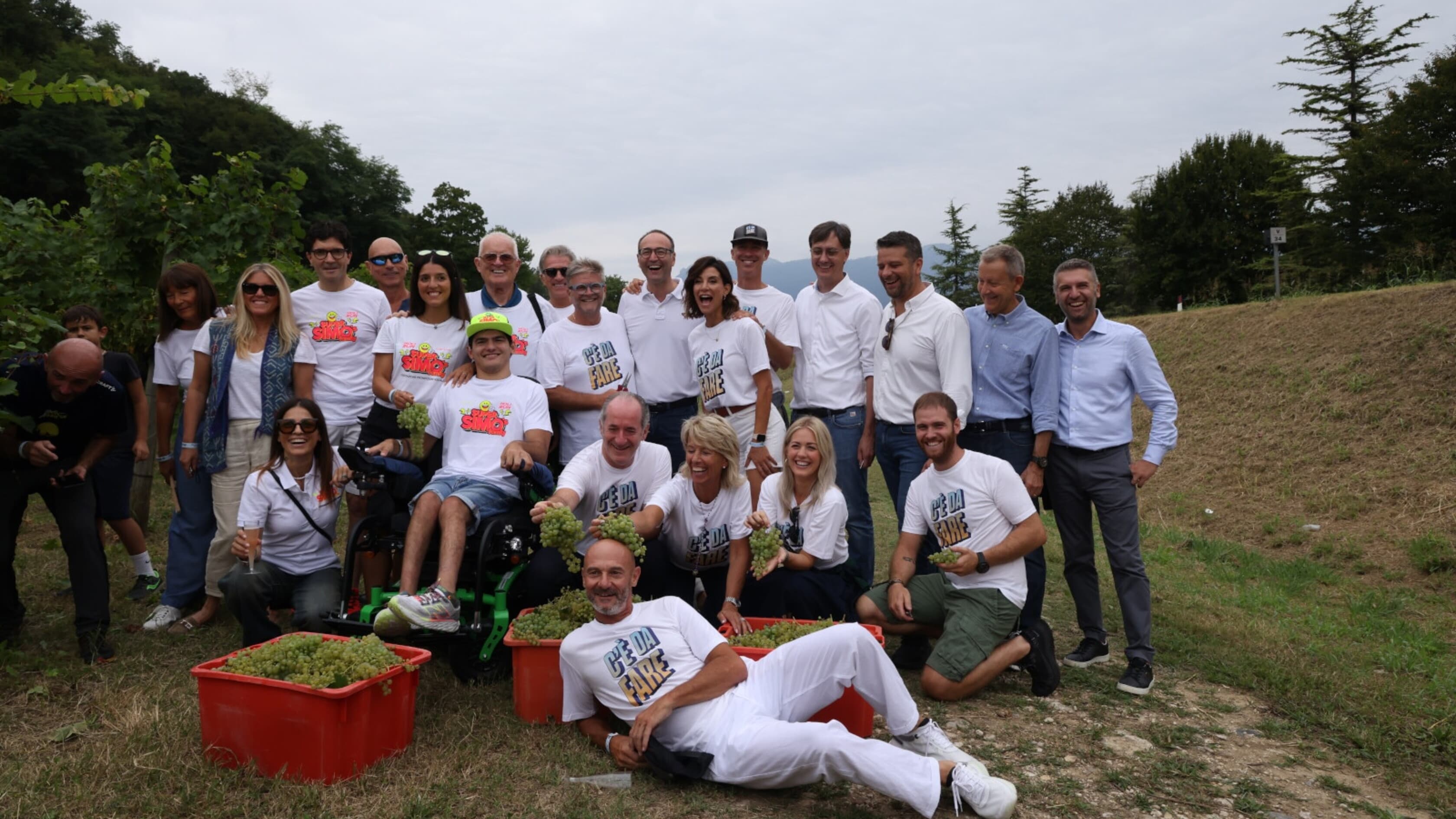 Torna la Vendemmia solidale, Paolo Kessisoglu vignaiolo per un giorno   